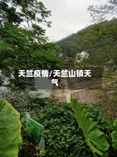 天竺疫情/天竺山镇天气