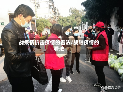 战疫情抗击疫情的看法/战胜疫情的看法-第3张图片