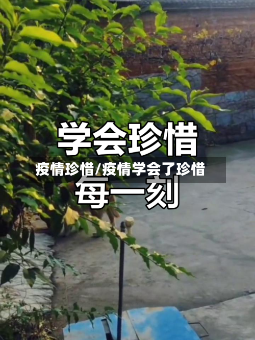 疫情珍惜/疫情学会了珍惜-第3张图片