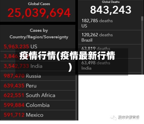 疫情行情(疫情最新行情)