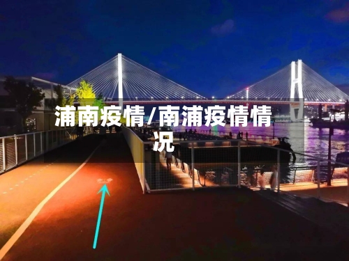 浦南疫情/南浦疫情情况-第2张图片