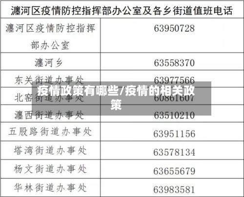 疫情政策有哪些/疫情的相关政策