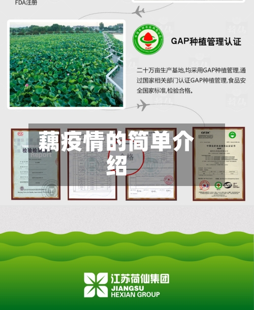 藕疫情的简单介绍-第3张图片