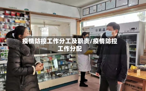 疫情防控工作分工及职责/疫情防控工作分配-第3张图片
