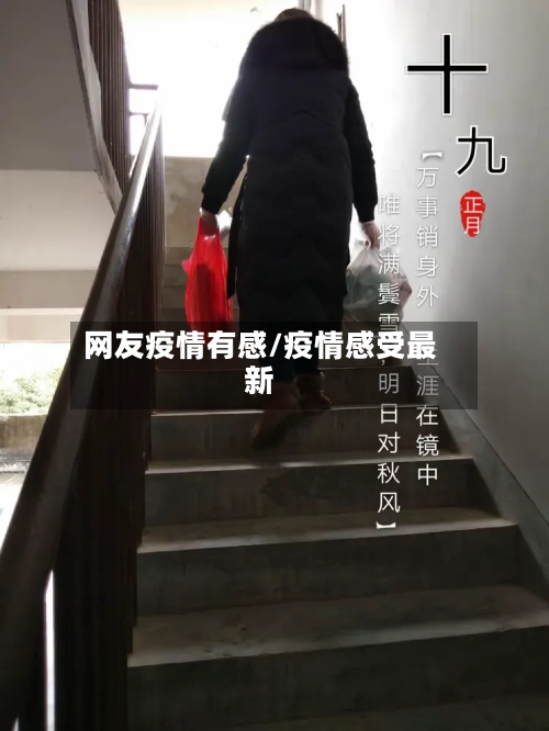 网友疫情有感/疫情感受最新