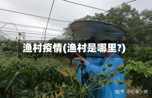 渔村疫情(渔村是哪里?)