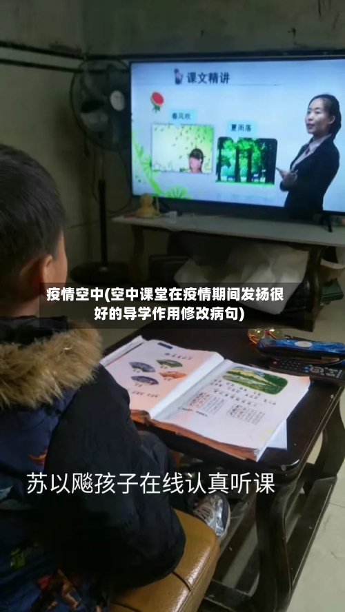 疫情空中(空中课堂在疫情期间发扬很好的导学作用修改病句)-第3张图片