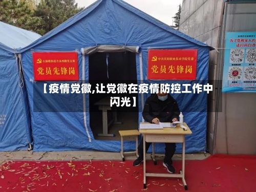 【疫情党徽,让党徽在疫情防控工作中闪光】-第2张图片