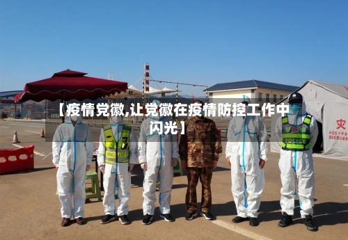 【疫情党徽,让党徽在疫情防控工作中闪光】