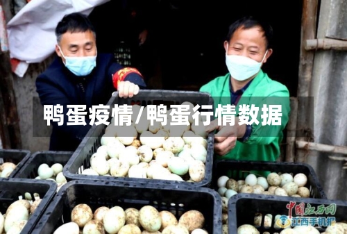 鸭蛋疫情/鸭蛋行情数据