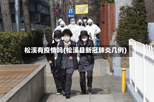 松溪有疫情吗(松溪县新冠肺炎几例)-第2张图片