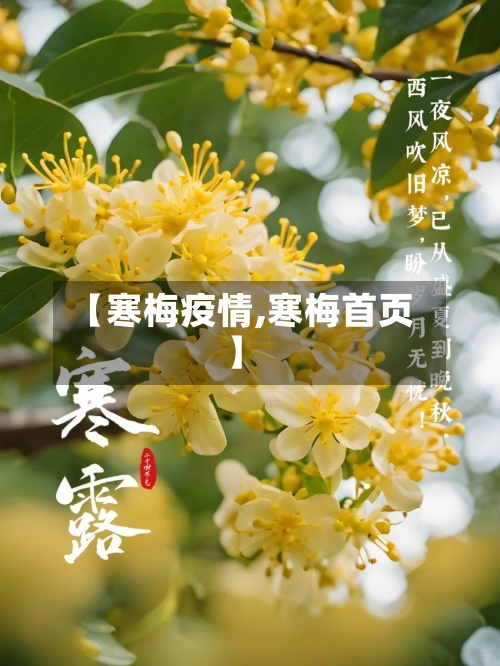 【寒梅疫情,寒梅首页】