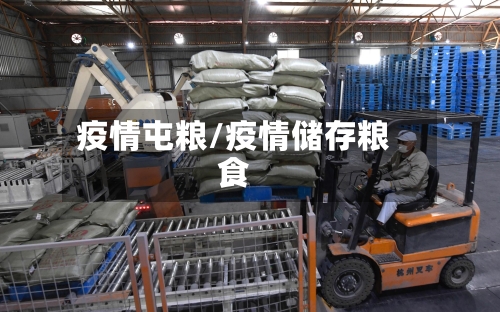 疫情屯粮/疫情储存粮食