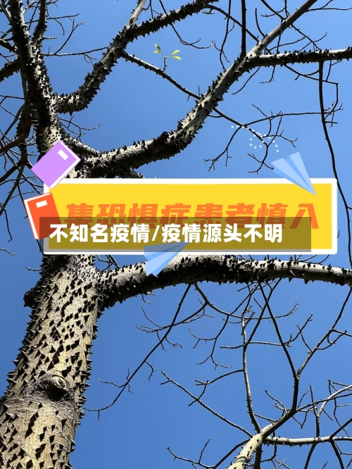 不知名疫情/疫情源头不明-第2张图片