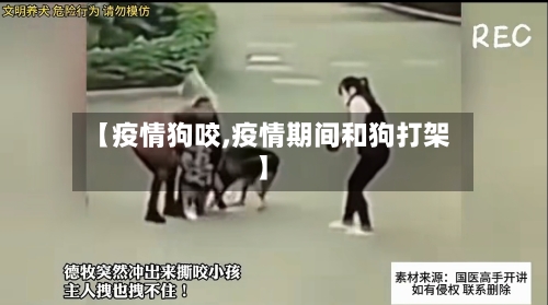 【疫情狗咬,疫情期间和狗打架】-第2张图片