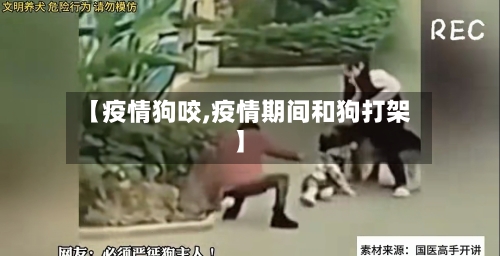 【疫情狗咬,疫情期间和狗打架】