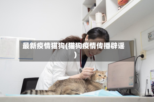 最新疫情猫狗(猫狗疫情传播辟谣)-第2张图片