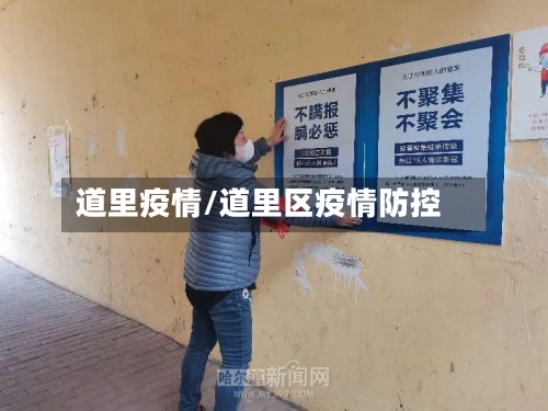 道里疫情/道里区疫情防控