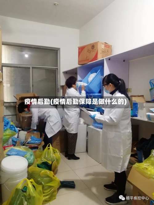 疫情后勤(疫情后勤保障是做什么的)