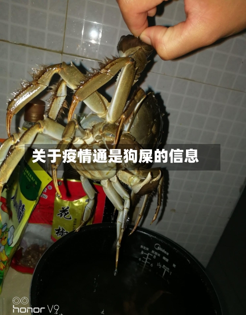 关于疫情通是狗屎的信息