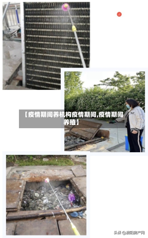 【疫情期间养机构疫情期间,疫情期间养殖】