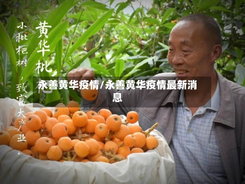 永善黄华疫情/永善黄华疫情最新消息