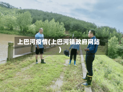 上巴河疫情(上巴河镇政府网站)