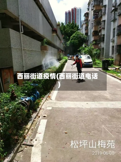 西丽街道疫情(西丽街道电话)-第2张图片