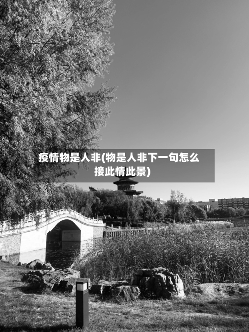 疫情物是人非(物是人非下一句怎么接此情此景)