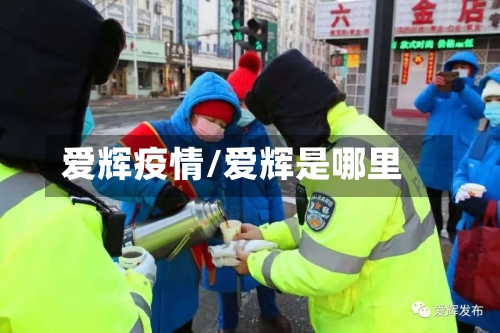 爱辉疫情/爱辉是哪里