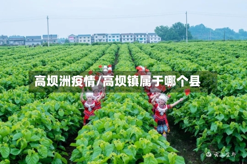 高坝洲疫情/高坝镇属于哪个县-第2张图片