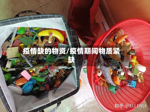 疫情缺的物资/疫情期间物质紧缺-第2张图片