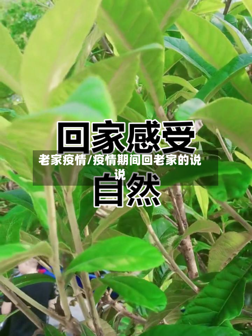 老家疫情/疫情期间回老家的说说