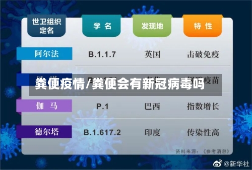 粪便疫情/粪便会有新冠病毒吗