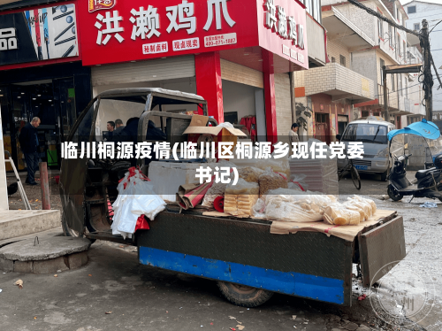 临川桐源疫情(临川区桐源乡现任党委书记)-第2张图片