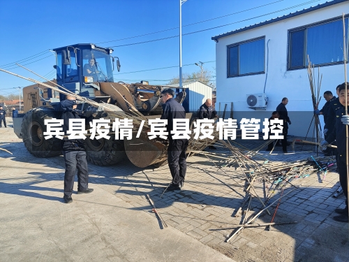 宾县疫情/宾县疫情管控