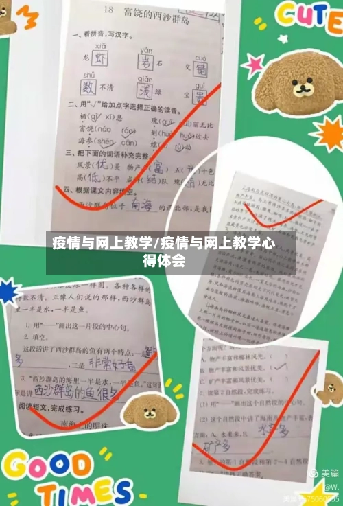 疫情与网上教学/疫情与网上教学心得体会