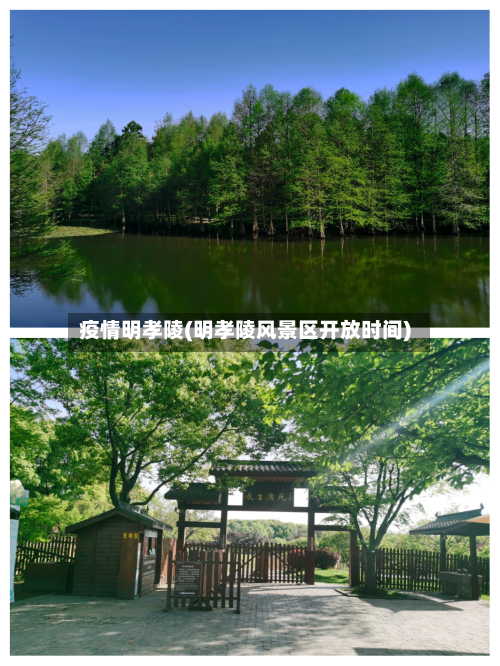 疫情明孝陵(明孝陵风景区开放时间)