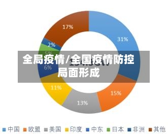全局疫情/全国疫情防控局面形成