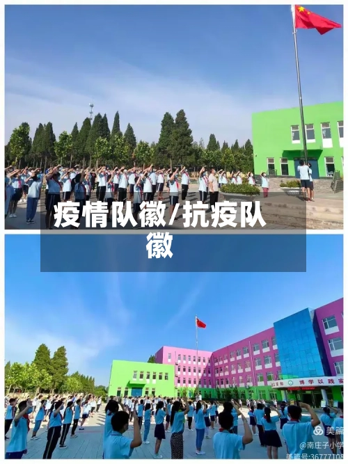 疫情队徽/抗疫队徽