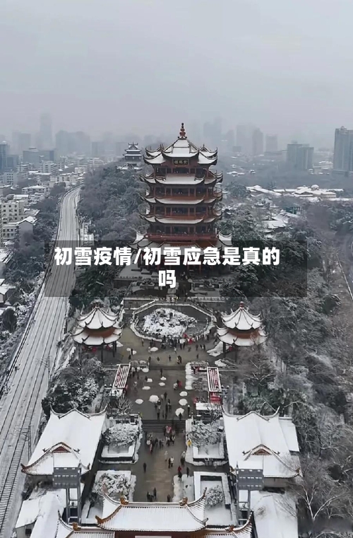 初雪疫情/初雪应急是真的吗