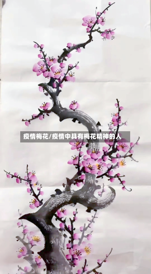 疫情梅花/疫情中具有梅花精神的人-第3张图片