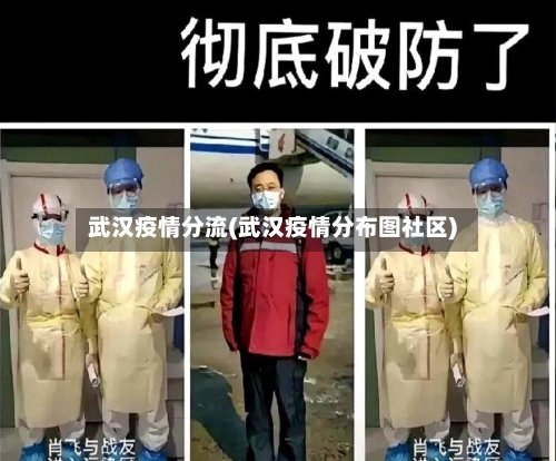 武汉疫情分流(武汉疫情分布图社区)