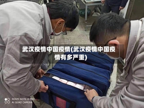 武汉疫情中国疫情(武汉疫情中国疫情有多严重)