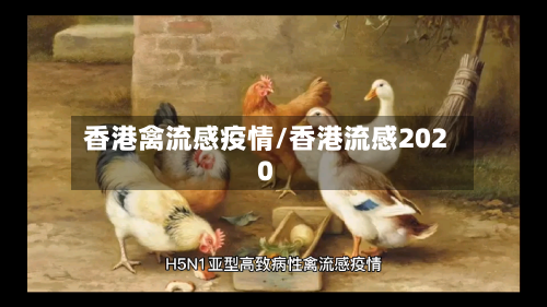 香港禽流感疫情/香港流感2020