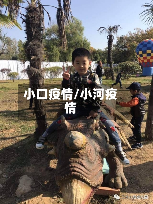 小口疫情/小河疫情