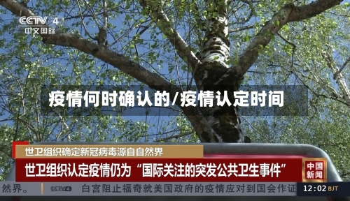 疫情何时确认的/疫情认定时间