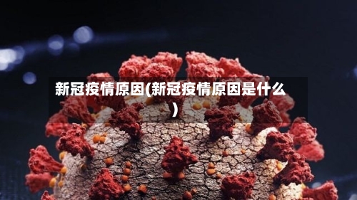 新冠疫情原因(新冠疫情原因是什么)-第2张图片