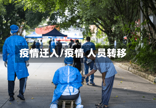 疫情迁入/疫情 人员转移