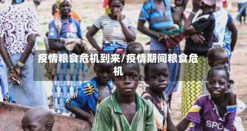 疫情粮食危机到来/疫情期间粮食危机